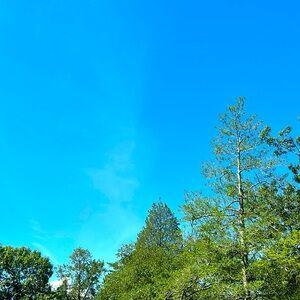 Meet your Posher, Laney